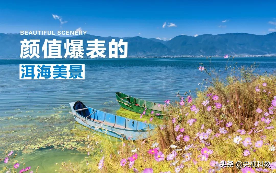 杩欐槸浣犳兂璞′腑鐨勬幢娴峰悧,浣犵湅鍒扮殑娲辨捣