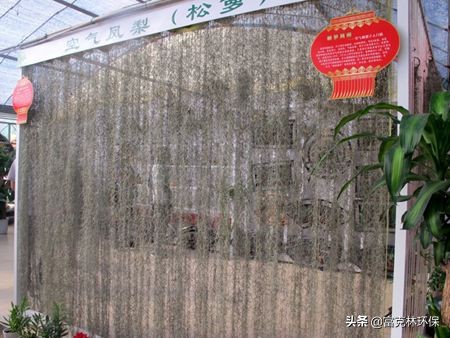 环保政策与市场分析,生态环保市场前景