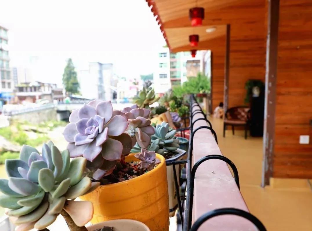 宁德蕉城区七都泰禾雅居民宿,宁德哪个民宿好点实惠又便宜