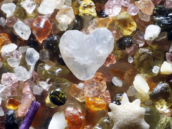 日本19年健体奥赛,日本诺贝尔奖得主批评亚洲教育