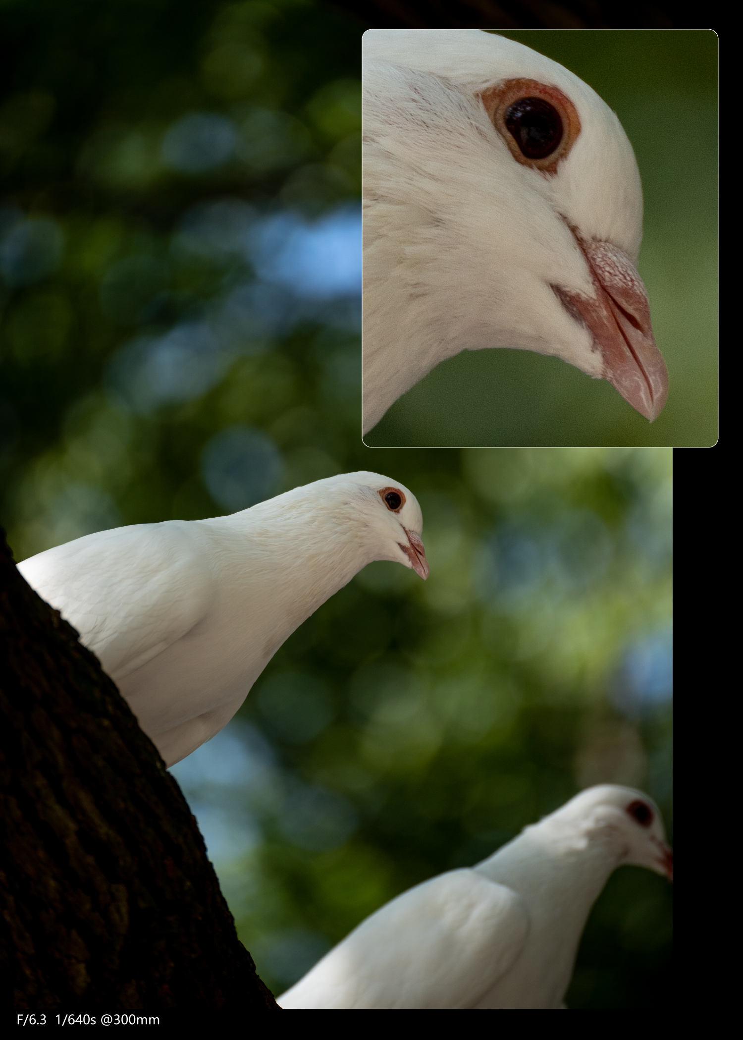 全画幅腾龙70-300,腾龙70-300e卡口