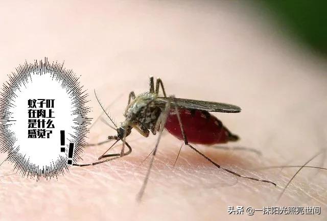 农村生活有几个人能懂,农村你了解多少