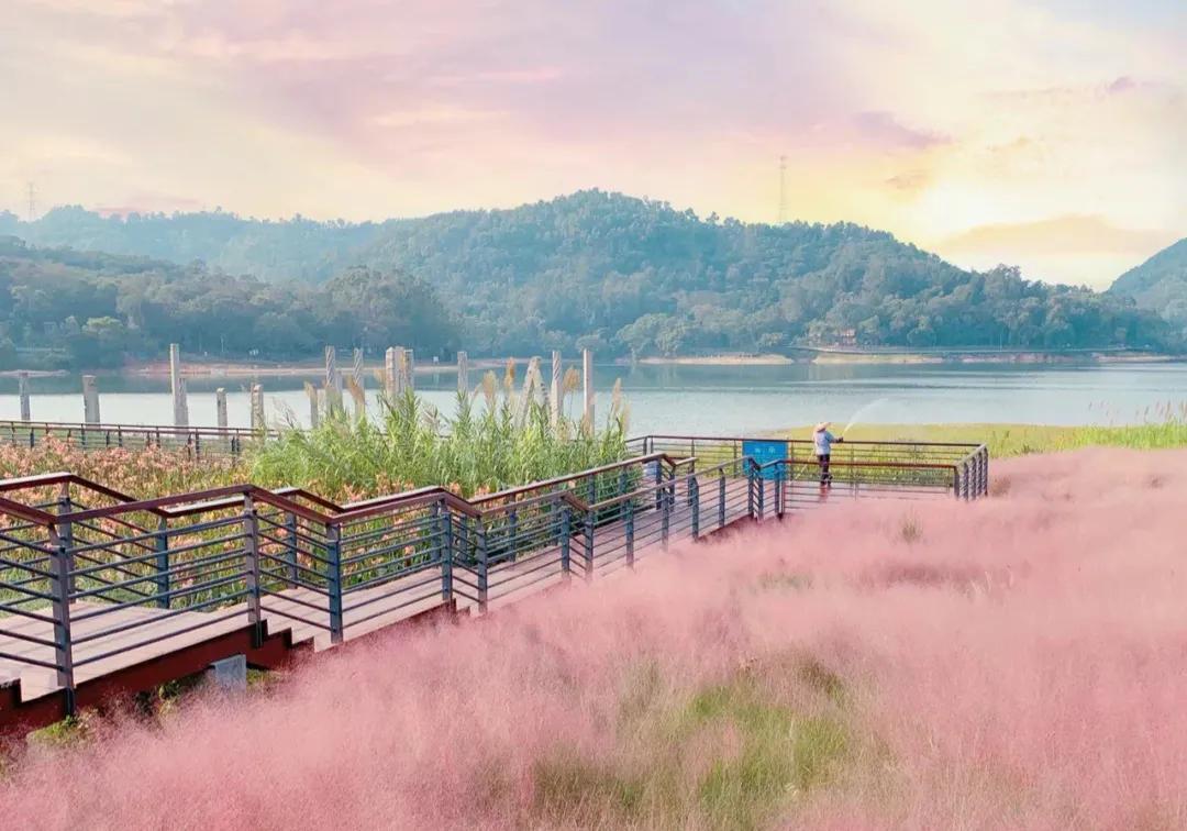 中山东区最值得去的地方,中山古镇好逛的地方