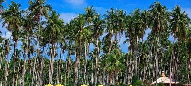 泰国旅游攻略必去景点推荐,泰国曼谷旅游攻略必去景点推荐