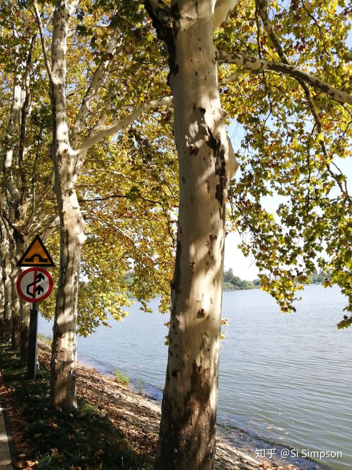 武汉旅游线路攻略图片,武汉攻略经典三日游