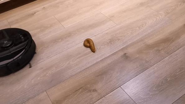 十大宝藏好物,十大必买宝藏单品