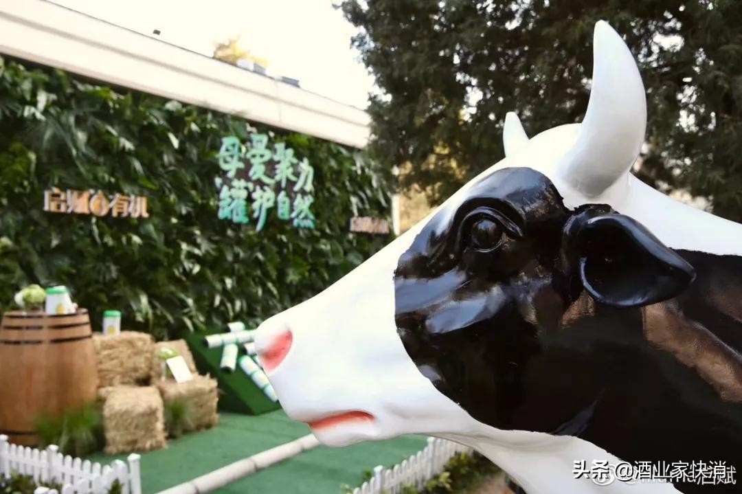 值得推荐购买的奶粉品牌,目前最值得买的奶粉