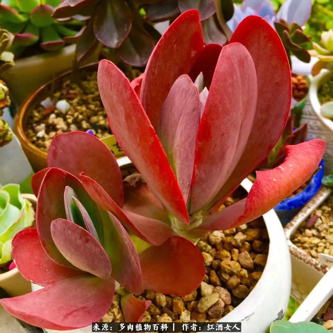 记录走过的美景留下美好的回忆,记录走过的每一段美好时光