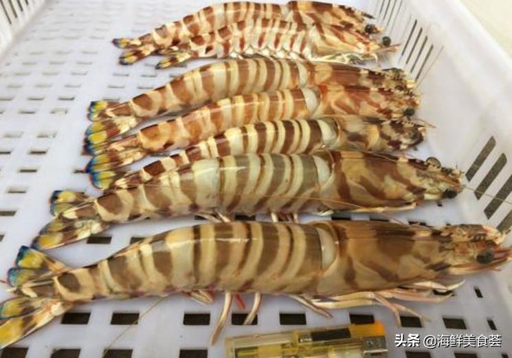 沿海最好吃的菜,好吃的小海鲜都有哪些