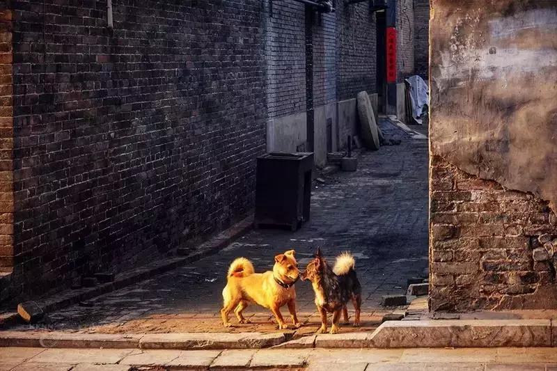 高铁直达西安旅游攻略,坐高铁到西安游古城墙和大雁塔