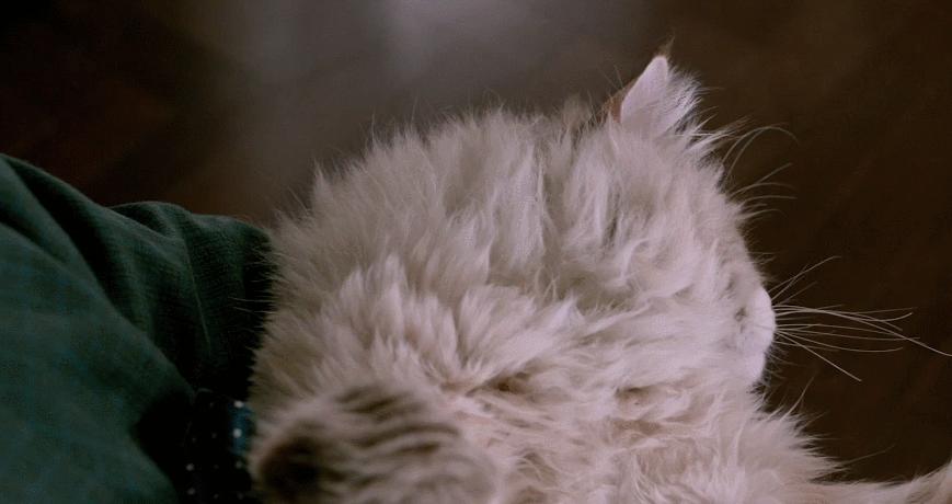 夏可叔叔评欧莱雅,夏可叔叔推产品