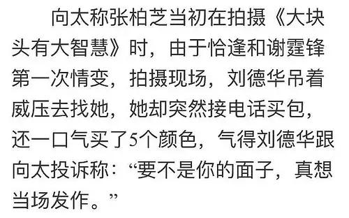 被群嘲撒谎精的张柏芝,张柏芝被吐槽