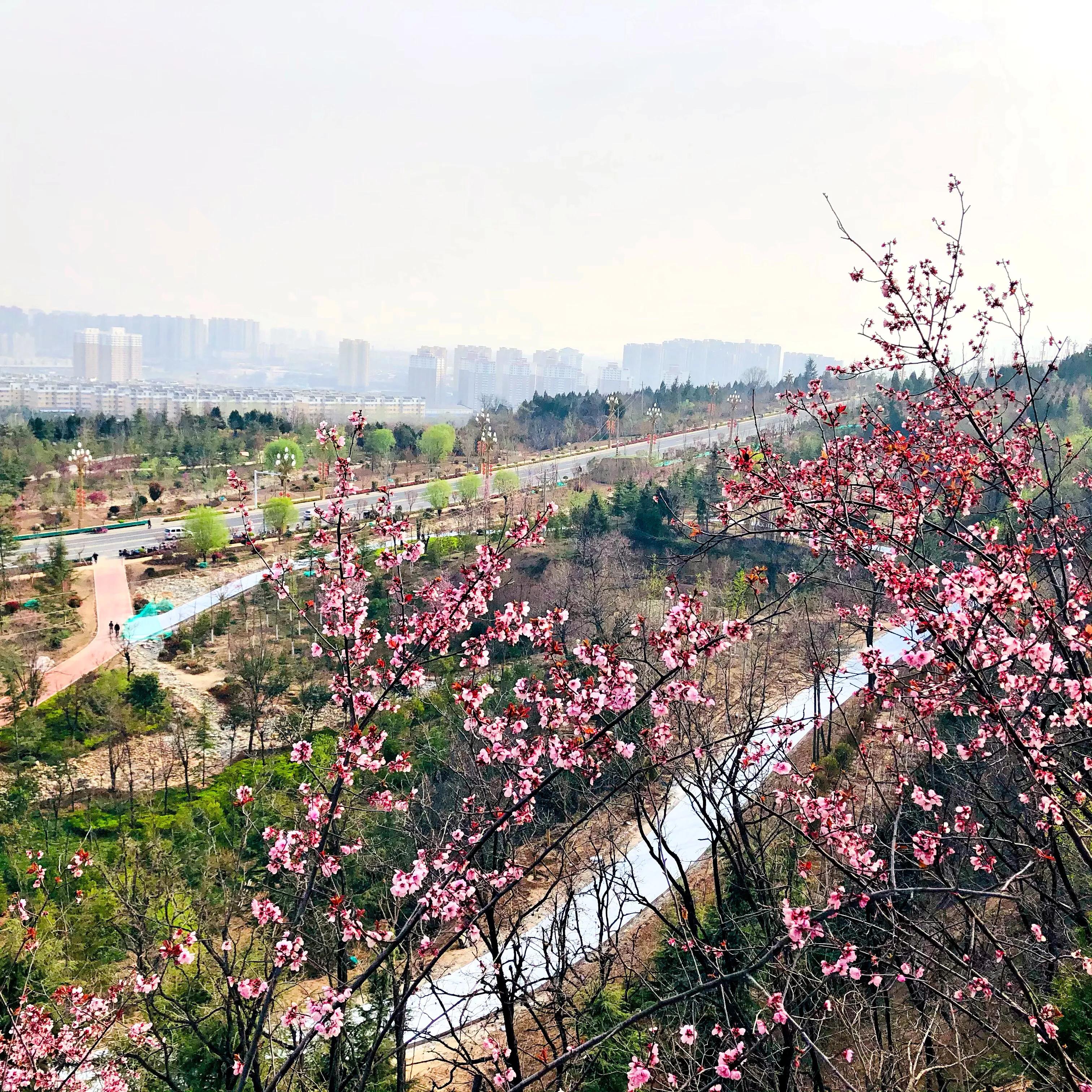 金塘半日游,白鹿原一日游攻略