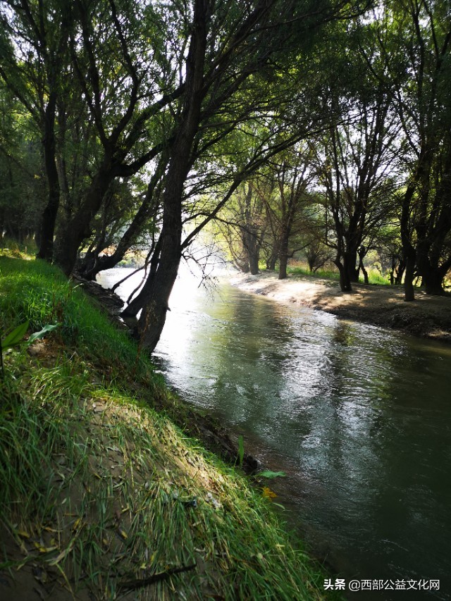 金苹果，是河西走廊一颗璀璨的明珠