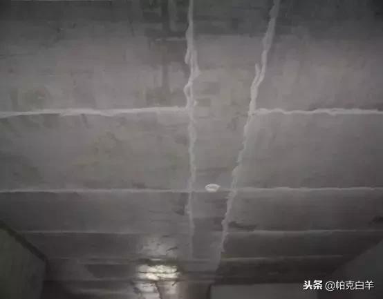 最牛图片大全高清,最牛主图指标源码