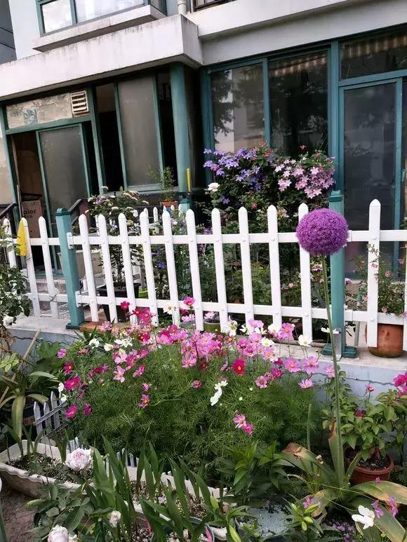 花儿养不好一定要学会这几招,花儿总是养不活