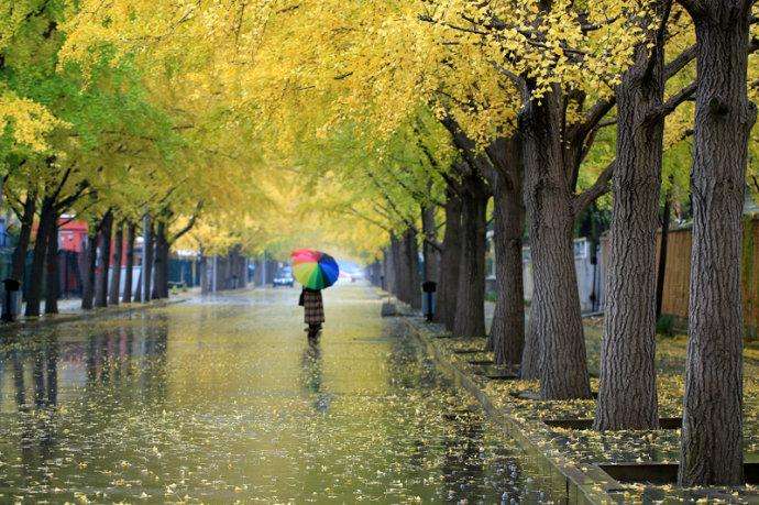 散文初冬阅读,初冬下雨散文