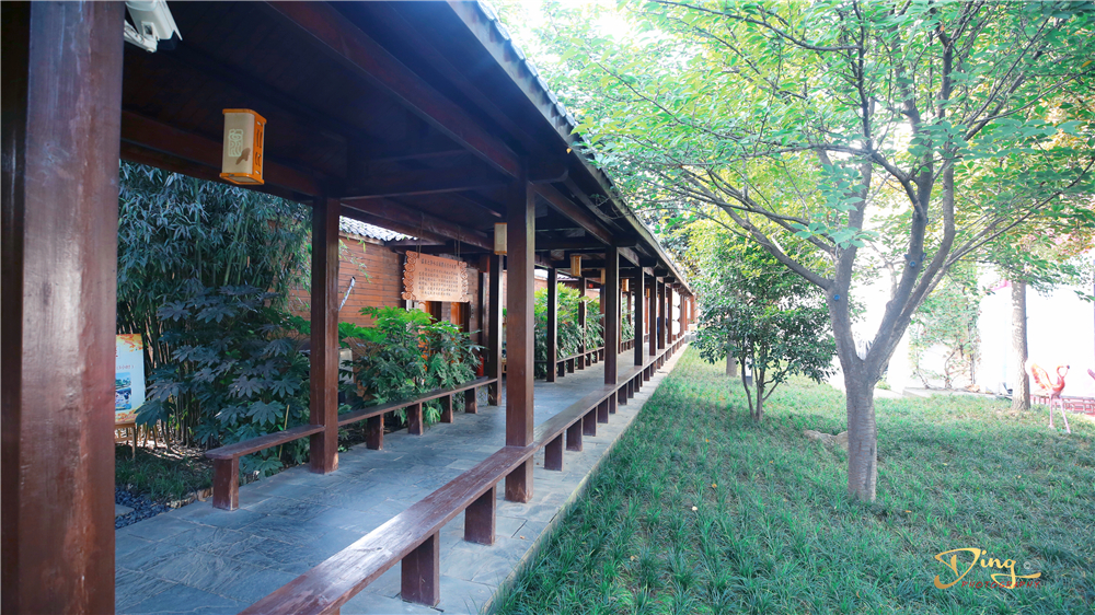 西安室外泡汤好去处,西安冬日赏雪泡温泉