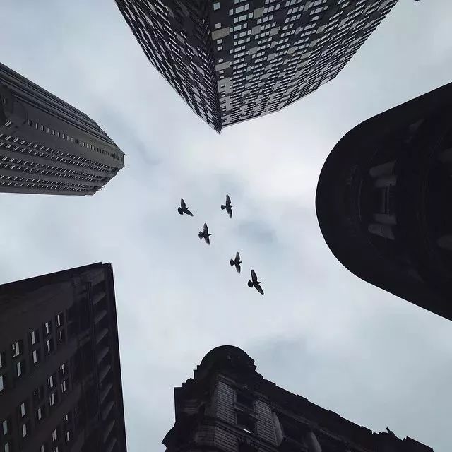 他是一名设计师,靠玩手机摄影成为了苹果签约摄影师