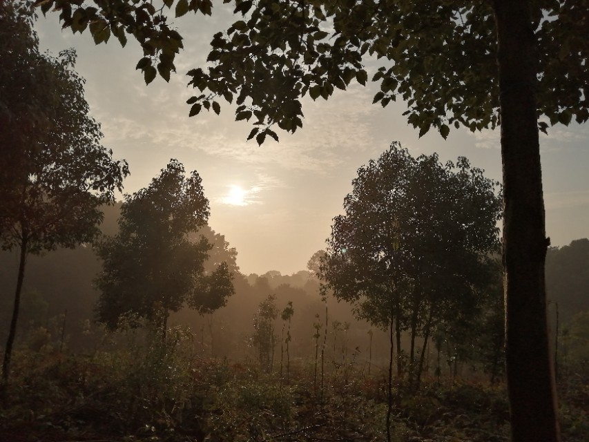 桂林市龙虎山庄,歌乐山龙虎山庄