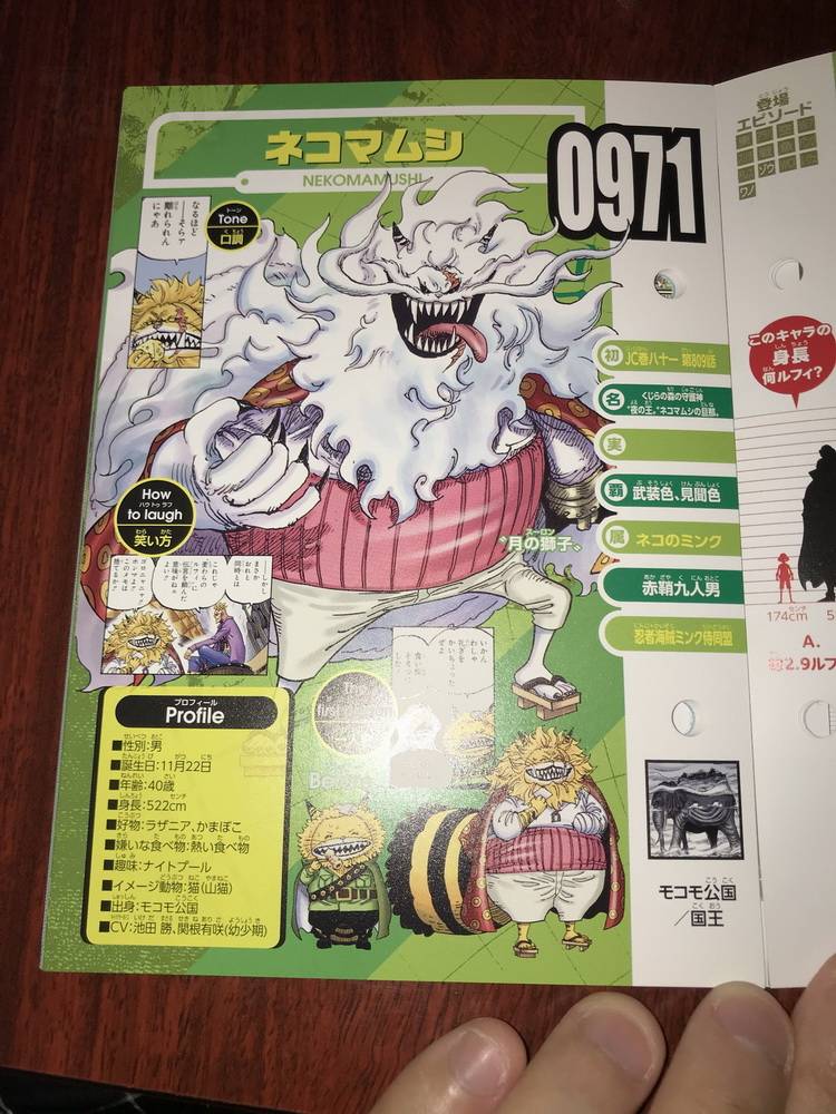 海贼王生命卡完整排名,海贼王生命卡信息