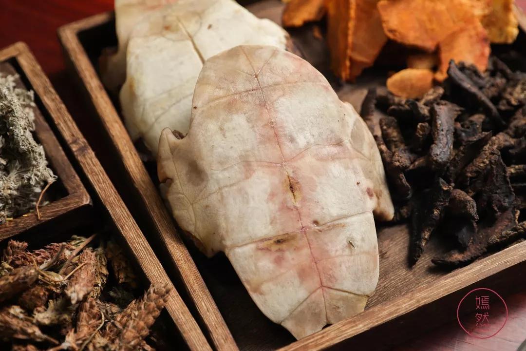 龟苓膏真假对比,真龟壳的龟苓膏