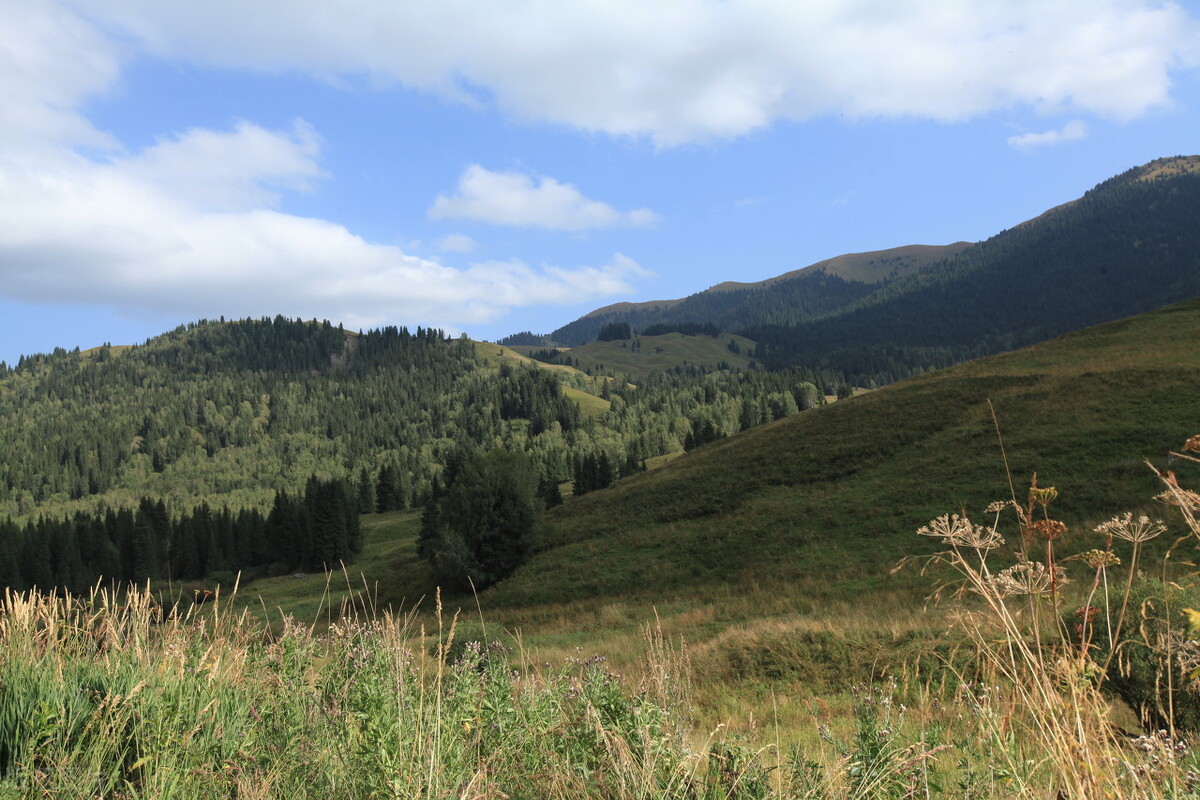 98年收回3万公顷领土,如今成我国最后一片净土,至今不许外人进