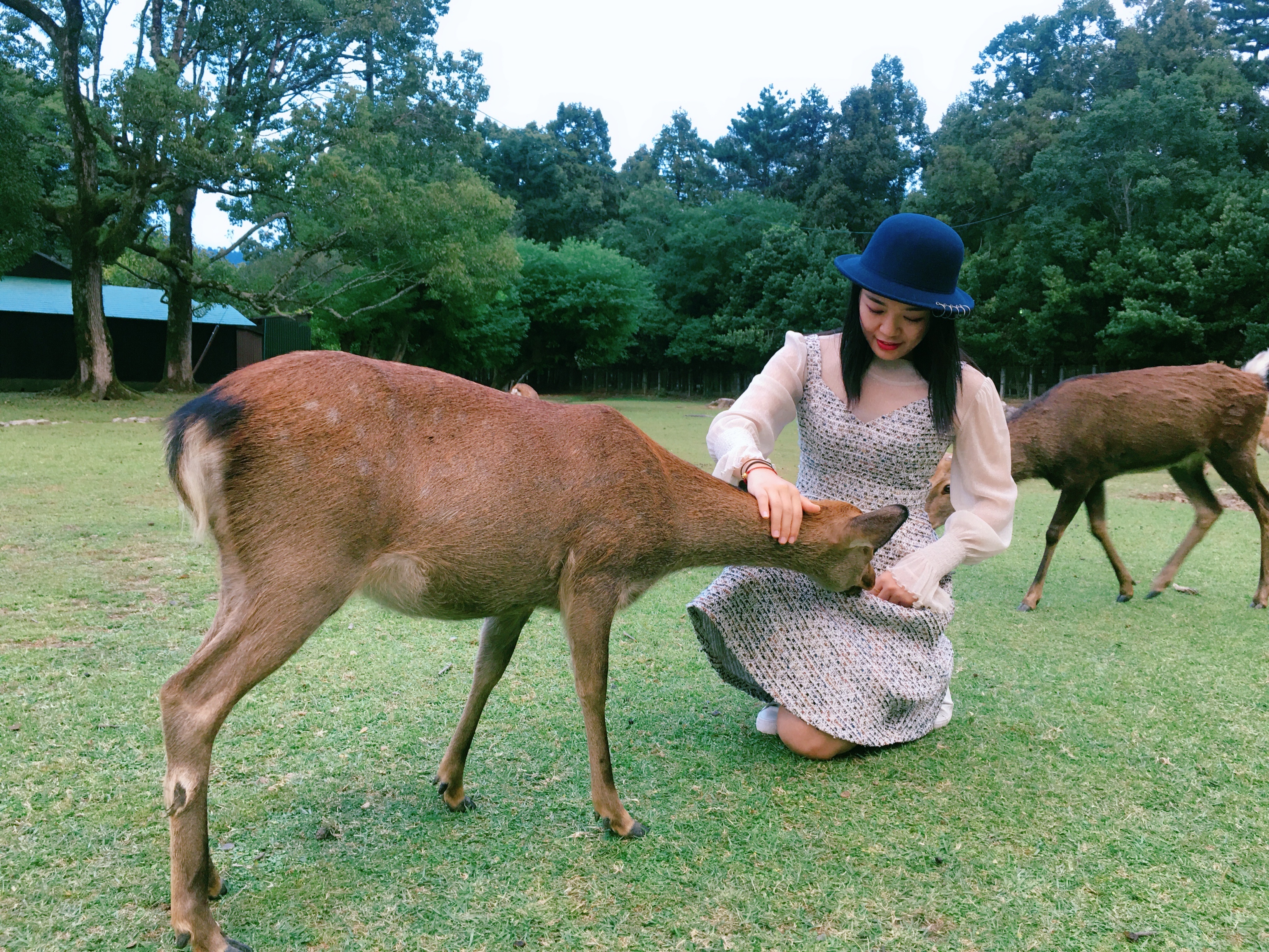 京都之旅探寻古都的魅力与美景,日本旅游东京京都霓虹初见