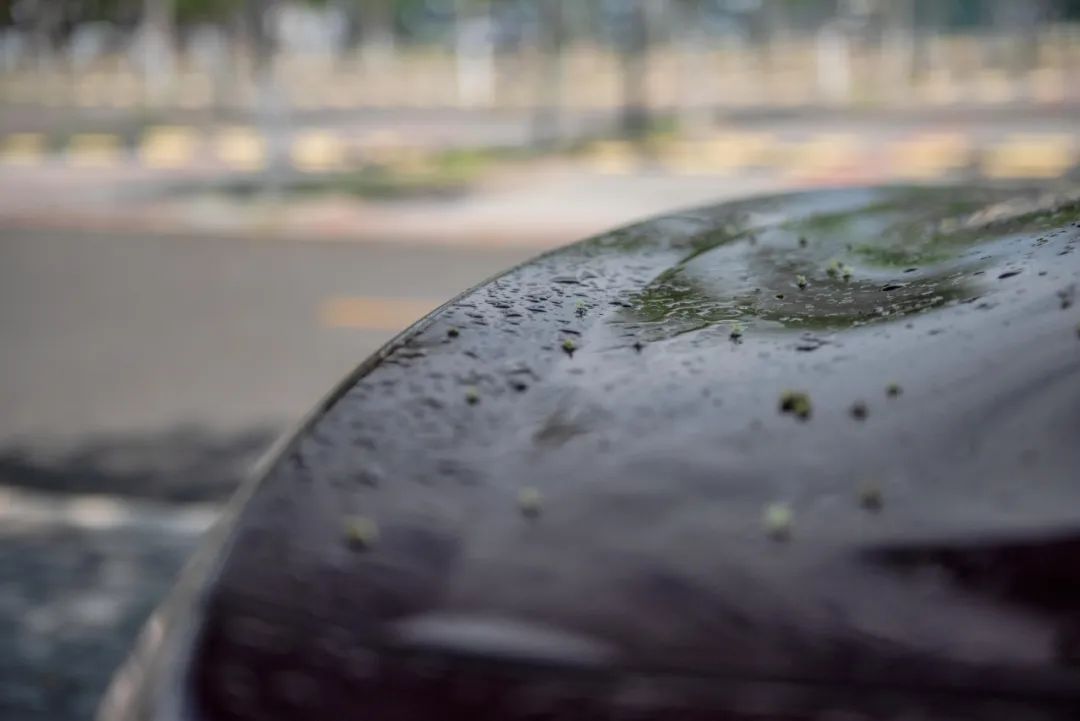 野马2.3t被叫野驴,野马2.3t小野驴