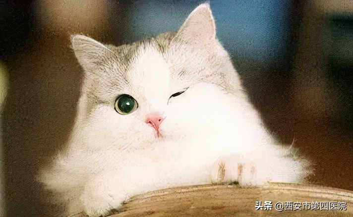 健康中国2030具体内容,健康中国行动2030