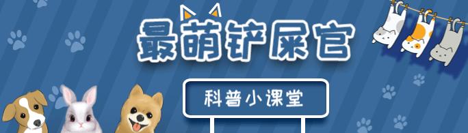 金毛和主人一起看夕阳,金毛和主人买菜