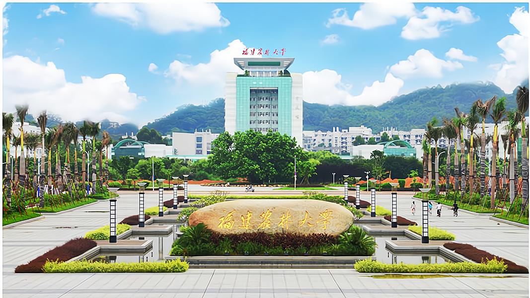 福建农林职业技术学院王牌专业,福建省农林大学排行