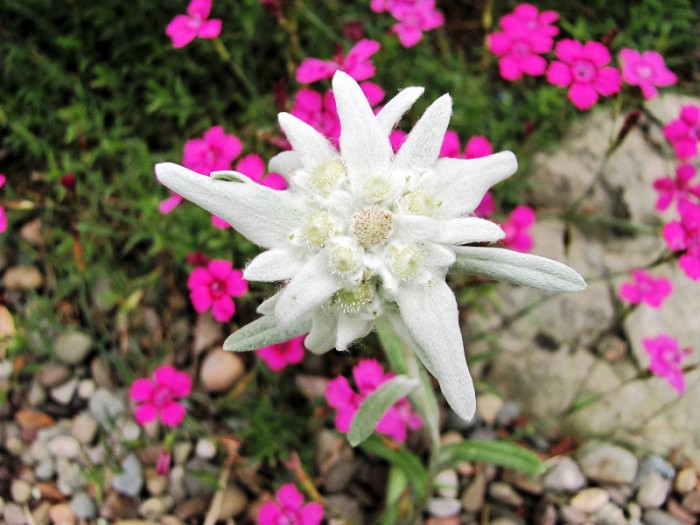 打动人心的走心句子语录,抚慰人心的句子句句透彻值得分享