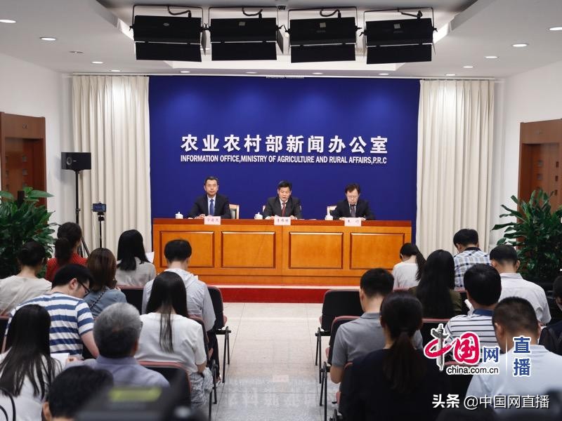 农村垃圾分类资源化回收利用制度,我国农村垃圾分类处理现状