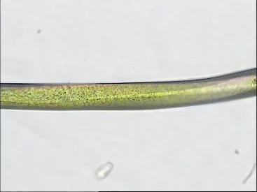 光滑柔软的聚酯纤维,聚酯纤维100%质地柔软