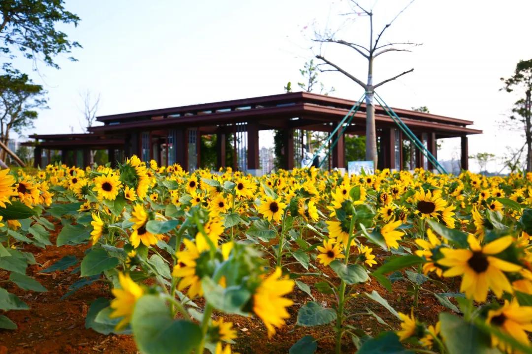 珠海买房过冬真实感受,在珠海买房十大秘诀