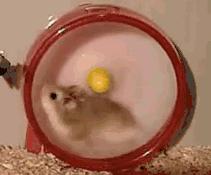 钢琴五线谱所有符号及讲解,初学者钢琴五线谱知识