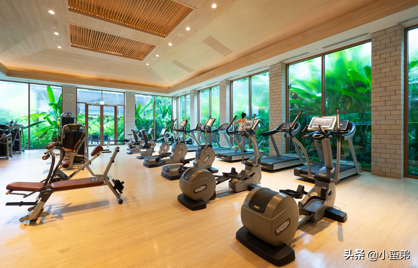 5年之许,小白逆袭重返新加坡