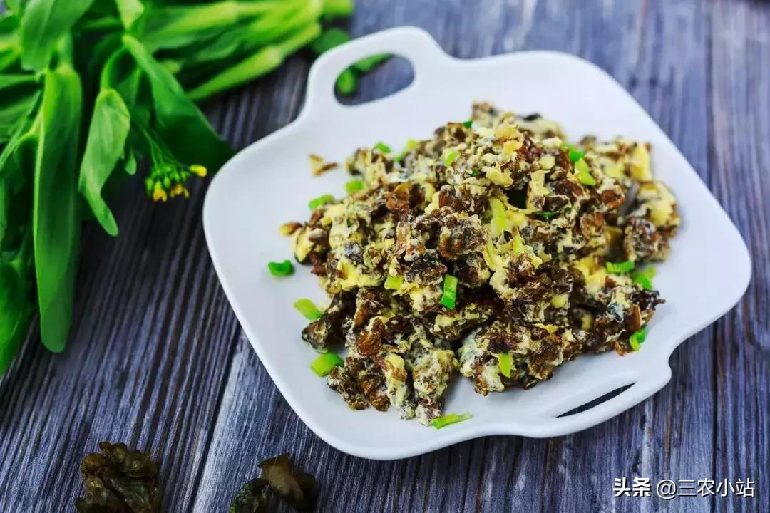 农村这种野菜“雨后”才出现,有人嫌脏,但营养极高