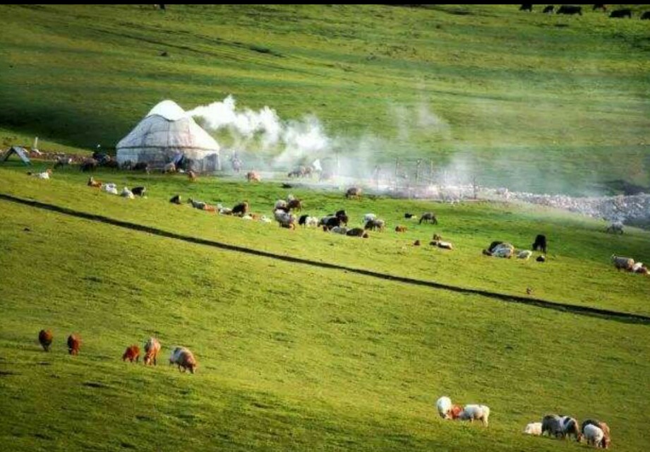 哈萨克斯坦美食做法大全,哈萨克特色美食教程