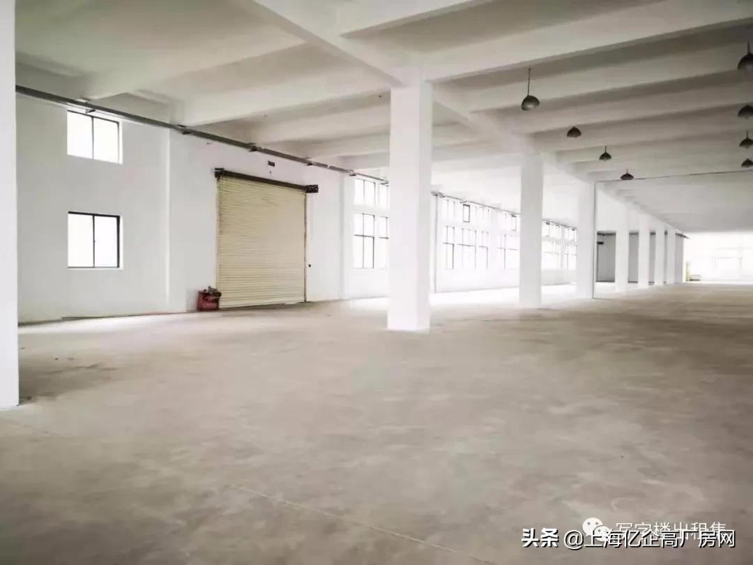 上海金汇镇租厂房500平方左右附近,上海浦东区厂房仓库出租哪家好