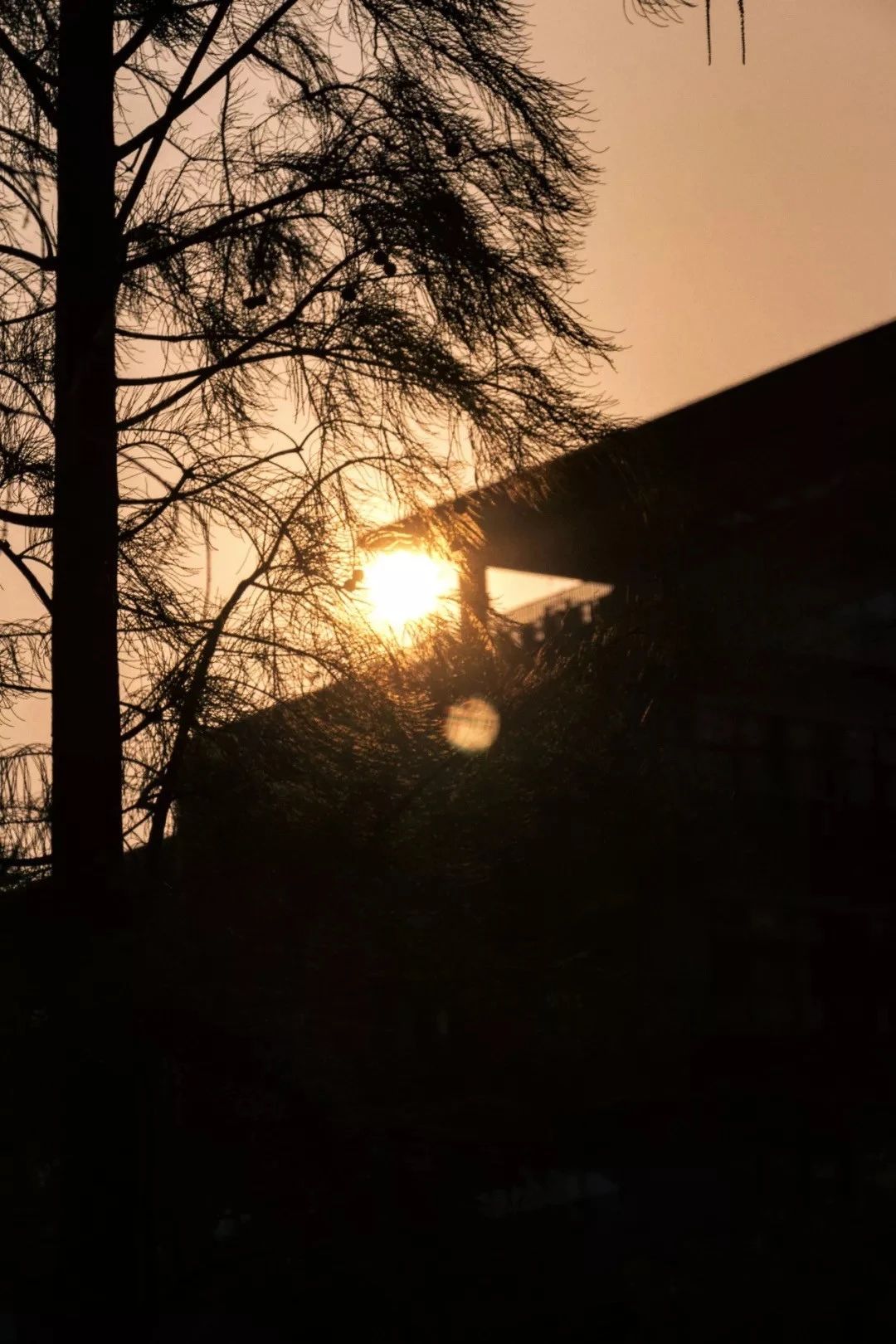 深圳夜晚小众打卡地景点,深圳十个小众打卡地