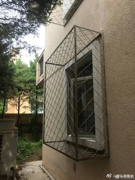 李子柒的城市视频,城市版的李子柒