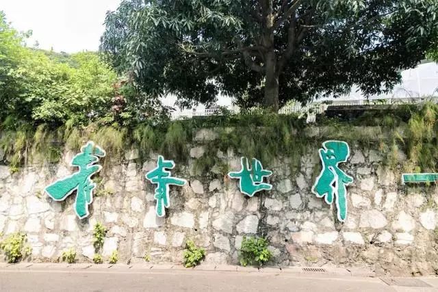 深圳周末小众好去处,深圳大鹏小众旅游景点