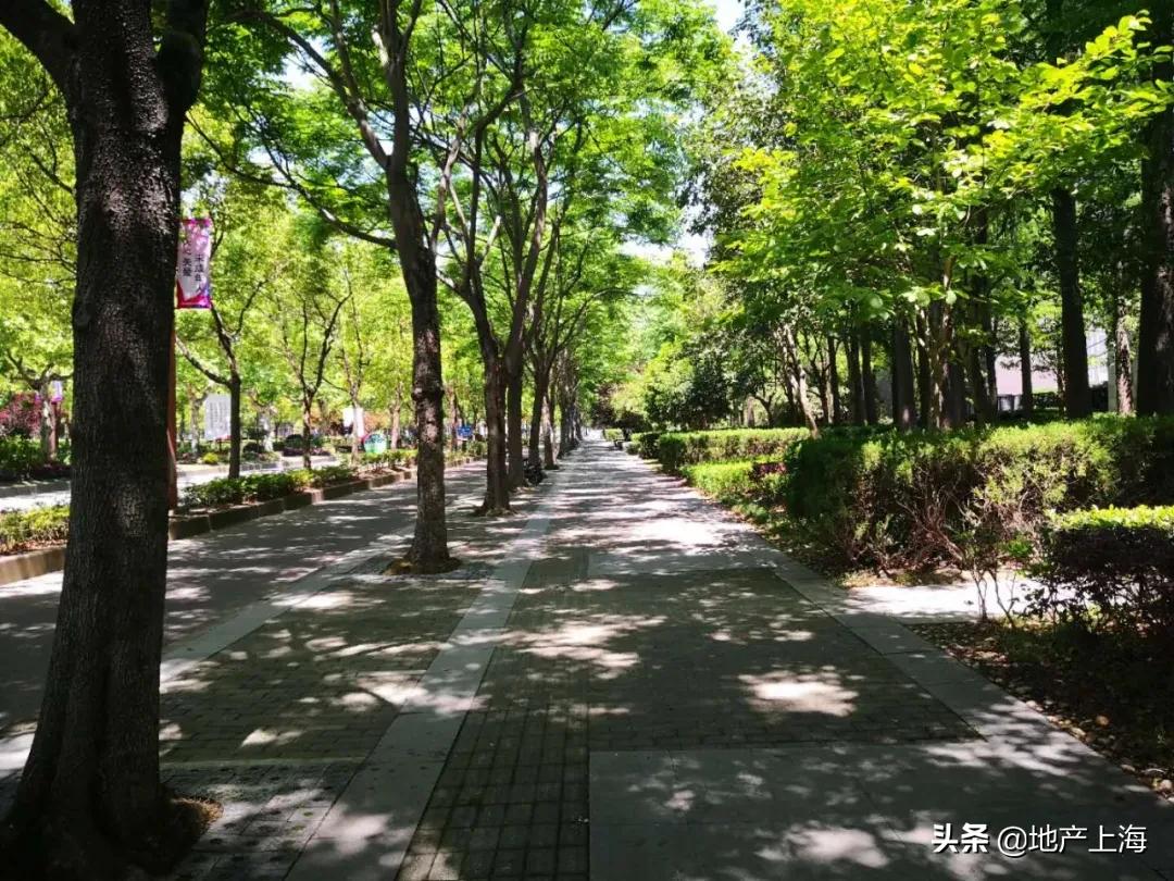 浦江成交价上涨40元是真的吗,浦江成交价多少