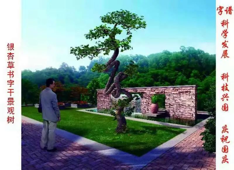 这种银杏不仅秋季金叶，春季叶色也是金黄