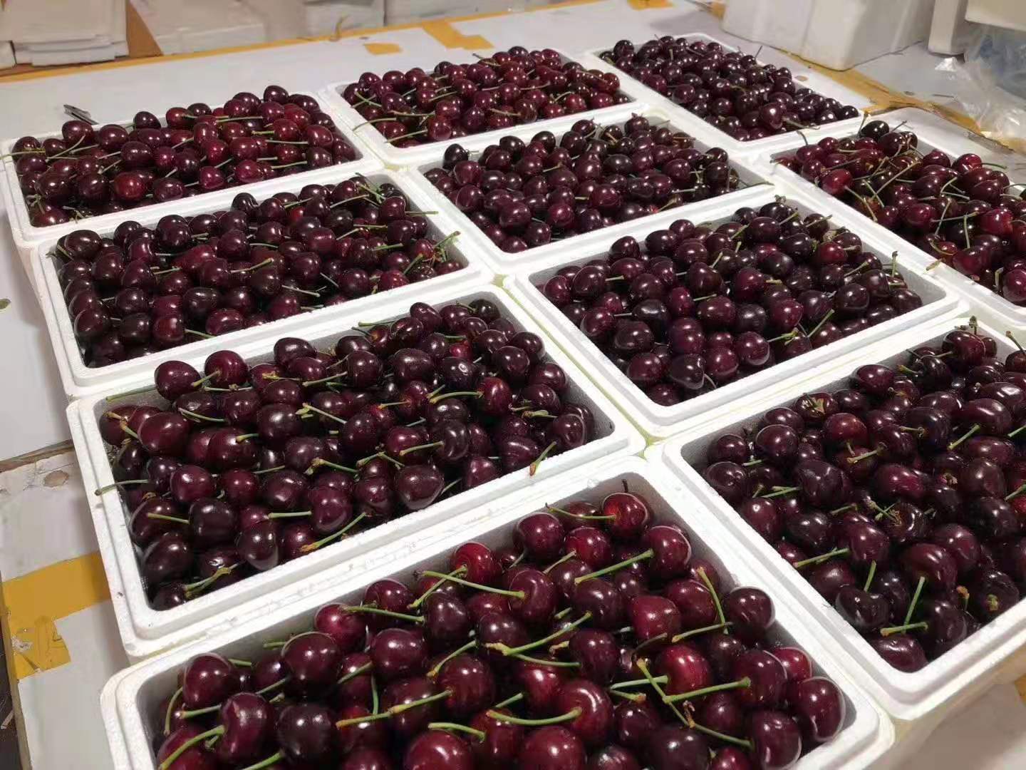 网上买的大樱桃有味道,大樱桃有股塑料味