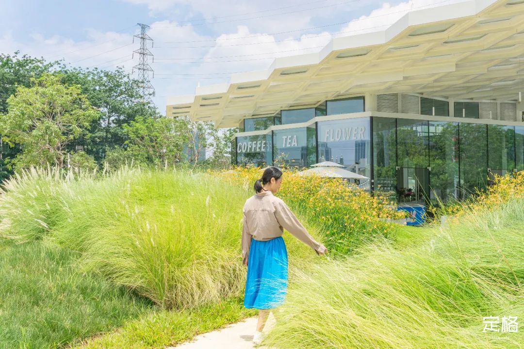 沙井万丰哪里的生蚝好吃,深圳沙井生蚝最出名店