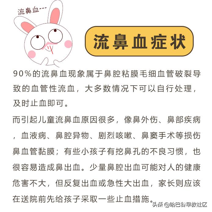 宠物烫伤怎么处理多喝水,宠物咬伤烫伤