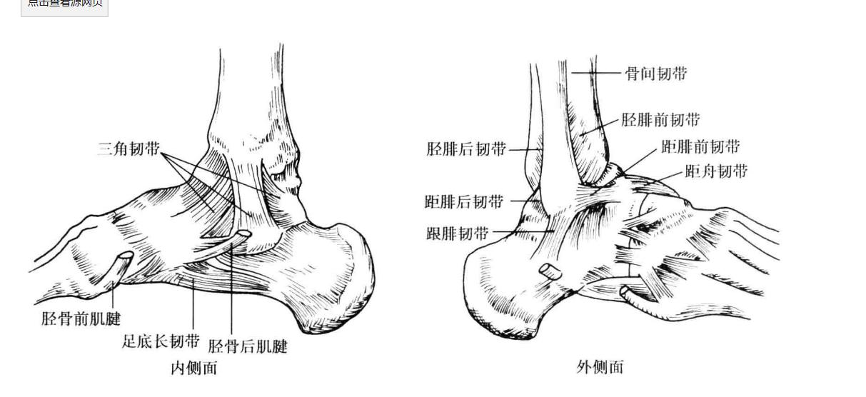 骨科医生告诉你崴脚了怎么办,急性脚扭伤正确的处理方法